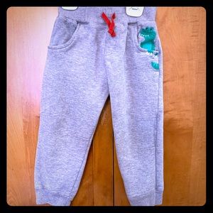 Kids Dinosaur Pants